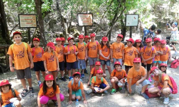 Τα «Χταπόδια» συναντούν τις Πεταλούδες