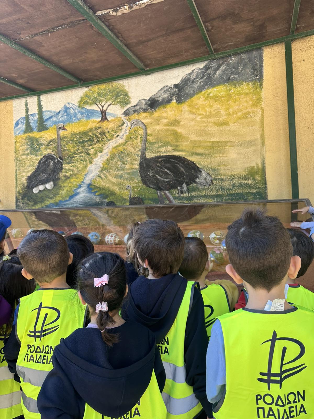 εικόνα_Viber_2025-10-16_18-04-56-140