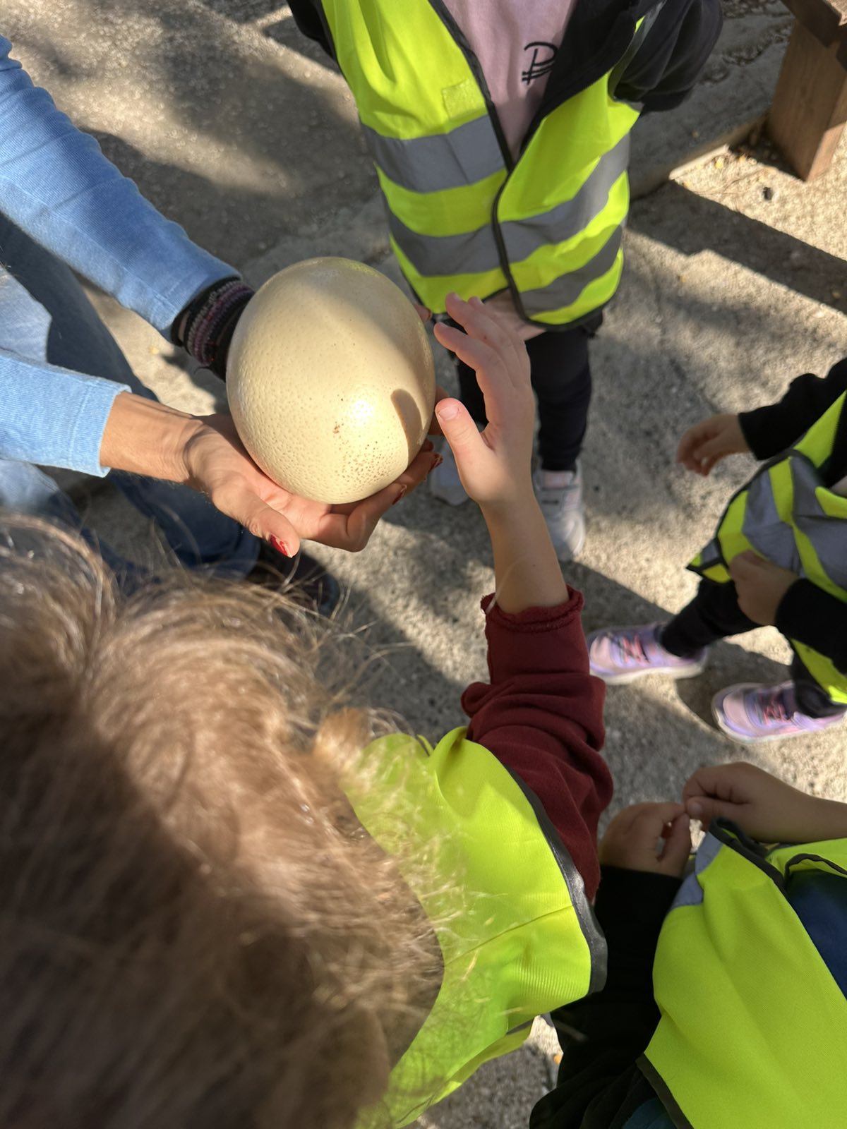 εικόνα_Viber_2025-10-16_18-04-56-185