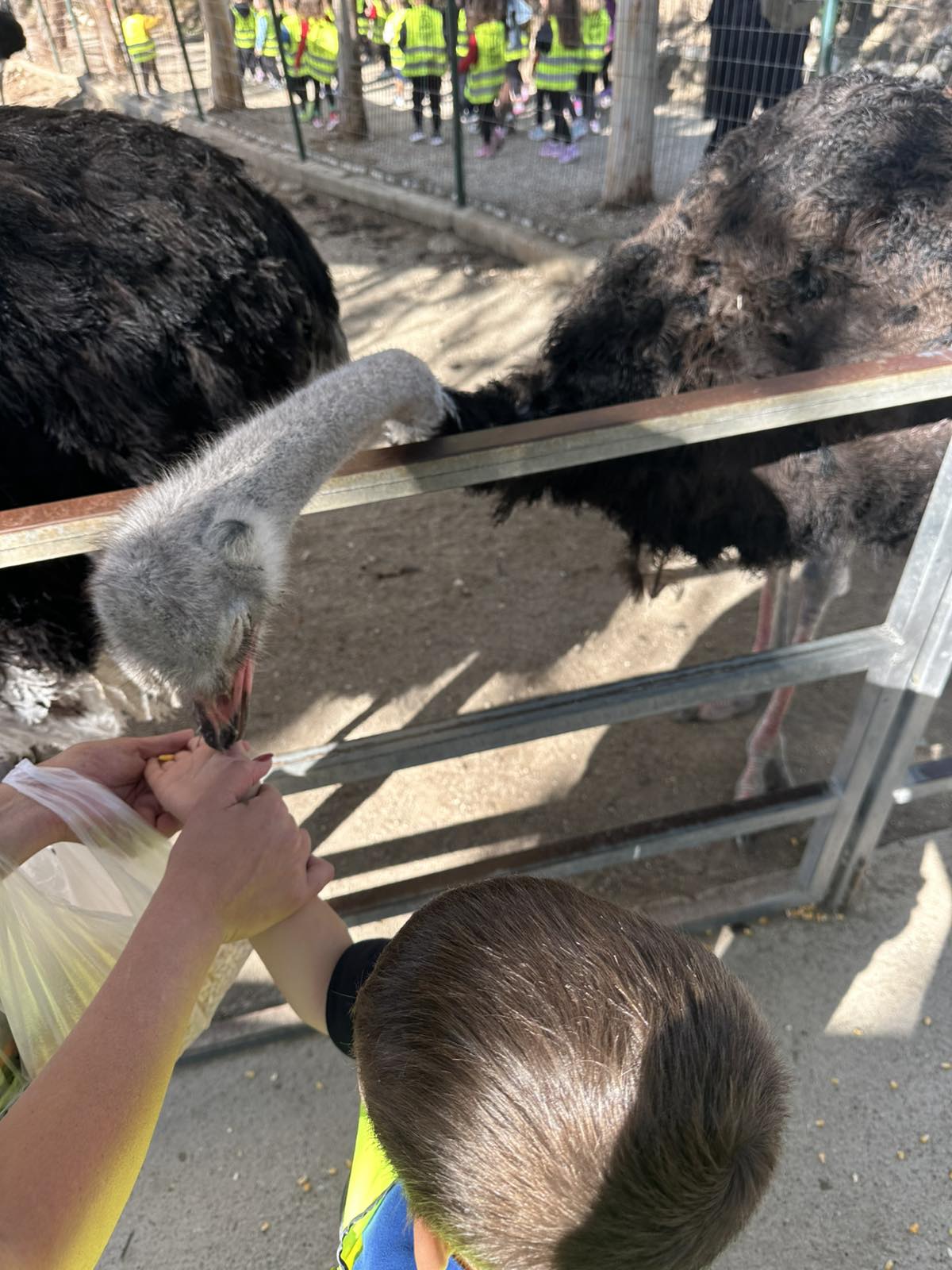 εικόνα_Viber_2025-10-16_18-04-56-281