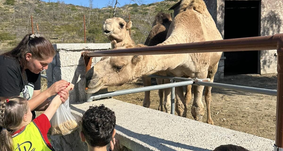 Τα ζώα της φάρμας