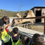 Τα ζώα της φάρμας