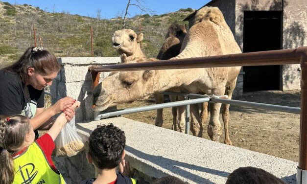 Τα ζώα της φάρμας