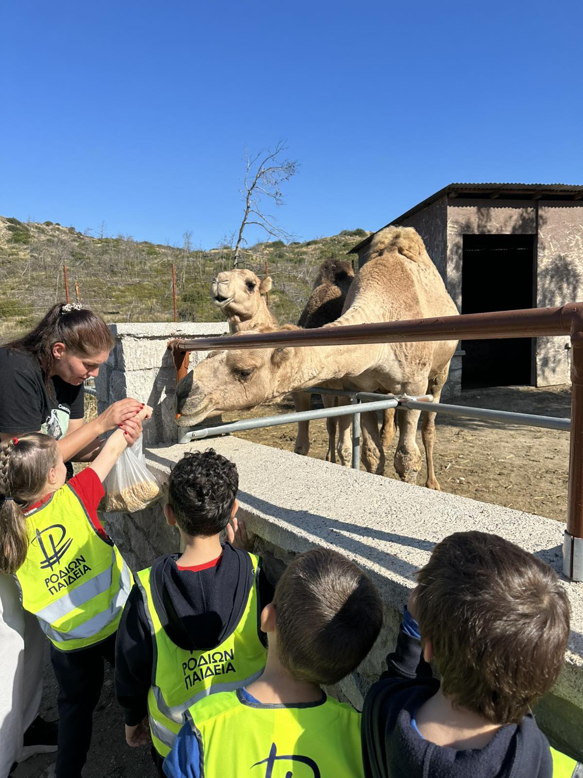 εικόνα_Viber_2025-10-16_18-04-56-372
