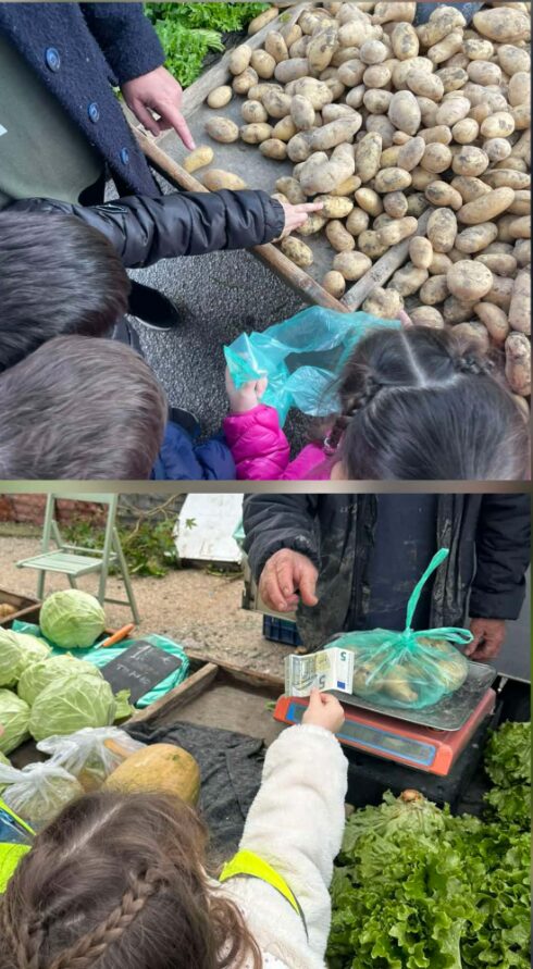 Screenshot 2026-02-17 095929