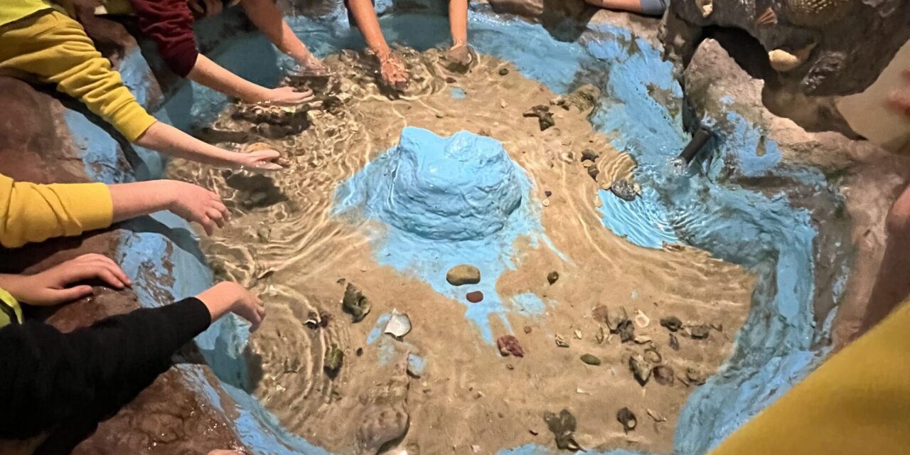 Ταξιδεύοντας στον μαγικό κόσμο της θάλασσας, στο Ενυδρείο Ρόδου!