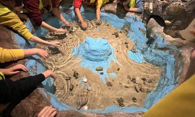 Ταξιδεύοντας στον μαγικό κόσμο της θάλασσας, στο Ενυδρείο Ρόδου!