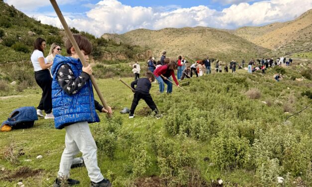 Μια μέρα στη φύση – Φυτεύουμε, παίζουμε, δημιουργούμε!