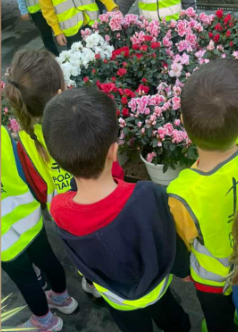 «Ζυμώνοντας» τη Γνώση! Σπόροι, σιτάρι, ψωμί και μια εβδομάδα μαγική!